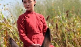 红高粱类似的电视剧,战地情缘