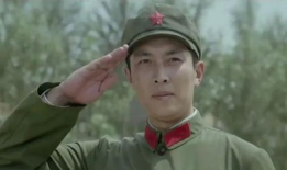 高山下的花环电视剧,电视剧高山下的花环情感之旅