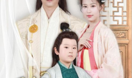 王妃电视剧,宫廷权谋与爱情纠葛的华丽篇章